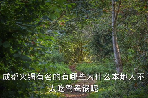 成都火鍋鴛鴦鍋哪里有賣(mài),成都火鍋有名的有哪些