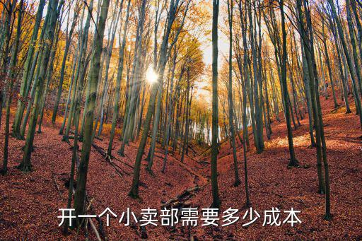在南京開小超市要多少錢一個月多少錢一個月,開一個小賣部需要多少成本