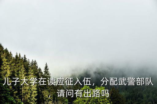 駐無錫武警部隊(duì)有多少人,一個(gè)集團(tuán)軍多少人