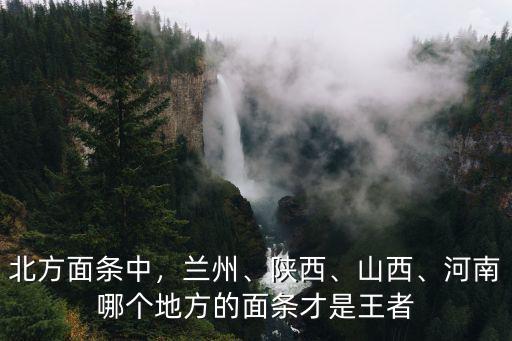 北方面條中，蘭州、陜西、山西、河南哪個(gè)地方的面條才是王者