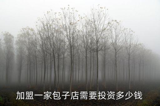 在江蘇常州開一家包子店要多少錢,開一家包子饅頭店要多少錢