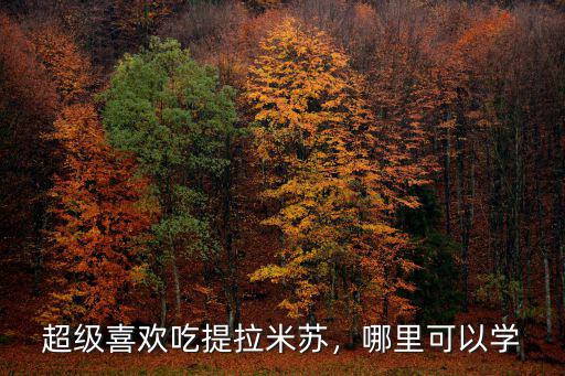 成都提拉米蘇哪里有賣,超級(jí)喜歡吃提拉米蘇