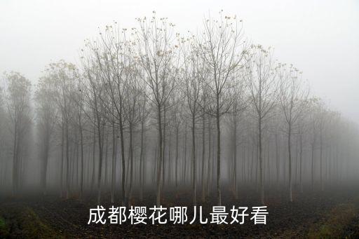成都春季哪里可以看櫻花,到哪里去看櫻花