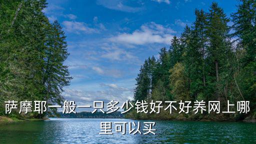 鶴壁薩摩耶多少錢,純種薩摩耶多少錢