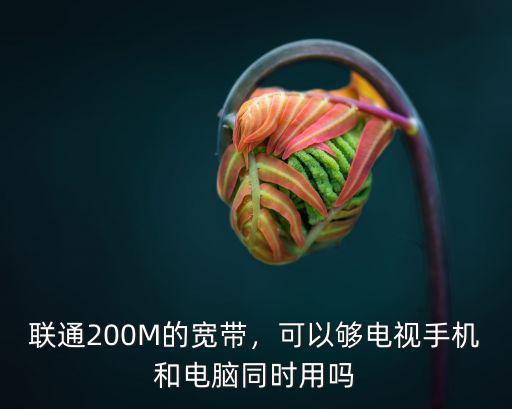 聯(lián)通200M的寬帶，可以夠電視手機和電腦同時用嗎