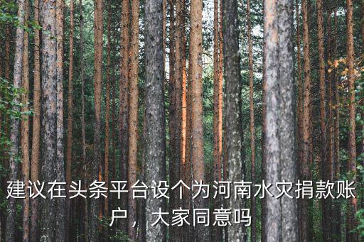 河南洪災滴滴平臺捐款多少錢,河南洪災你捐款了嗎