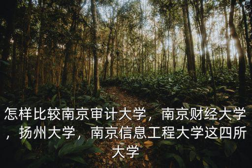 怎樣比較南京審計大學，南京財經大學，揚州大學，南京信息工程大學這四所大學