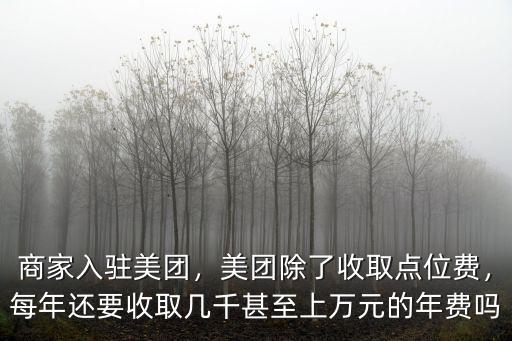 商家入駐美團，美團除了收取點位費，每年還要收取幾千甚至上萬元的年費嗎