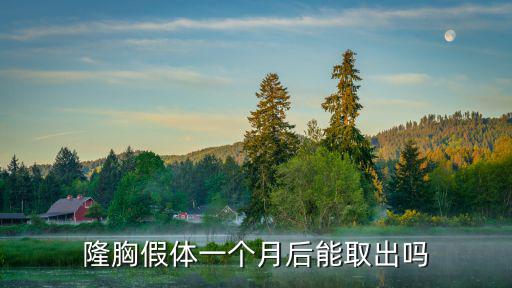 隆胸假體一個月后能取出嗎