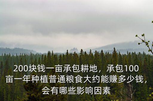 泰州承包100畝地能賺多少錢,200塊錢一畝承包耕地