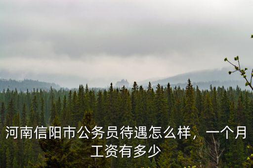 河南洛陽碩士選調生待遇怎么樣,河南信陽市公務員待遇怎么樣