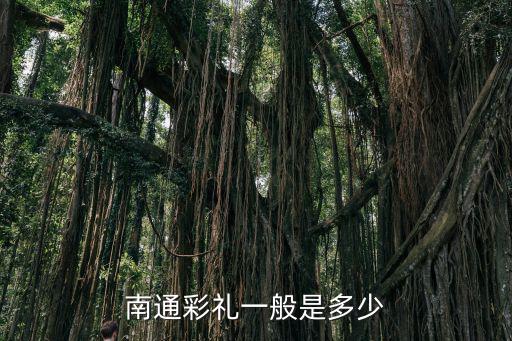 南通彩禮一般是多少