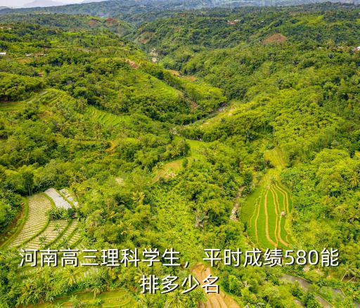河南高三理科學(xué)生，平時成績580能排多少名