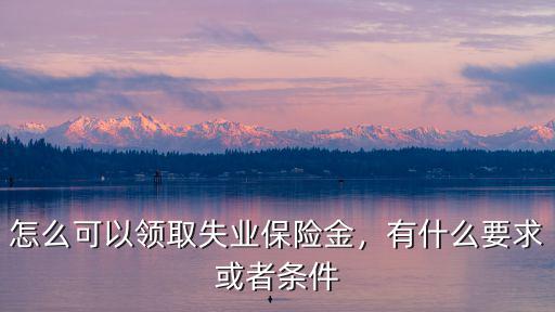 怎么可以領取失業保險金，有什么要求或者條件