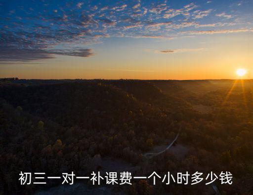 初三一對(duì)一補(bǔ)課費(fèi)一個(gè)小時(shí)多少錢(qián)