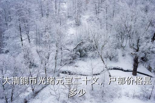 大清銅幣光緒元寶二十文，戶部價(jià)格是多少