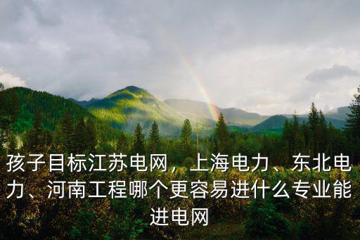 孩子目標江蘇電網，上海電力、東北電力、河南工程哪個更容易進什么專業能進電網