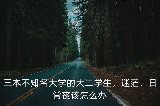 河南的三本學生怎么辦,三本不知名大學的大二學生