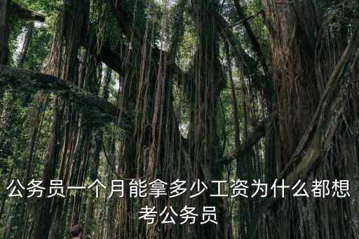 南京公務員入職工資多少,公務員一個月能拿多少工資