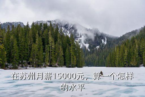 蘇州一個大城市月入上萬的有多少人,蘇州月到手一萬多的人多嗎