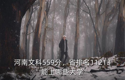 2019年559分在河南排名多少,河南文科559分