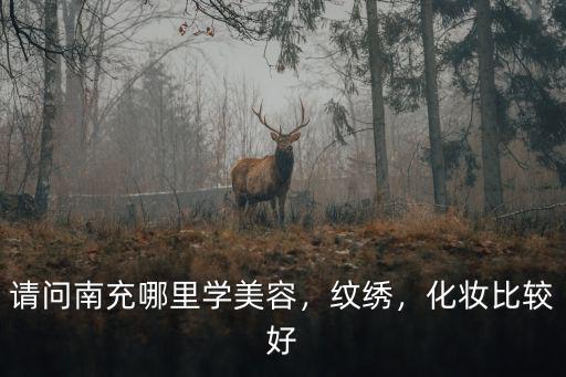 請問南充哪里學美容，紋繡，化妝比較好