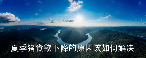 周口豬食欲不好怎么解決,豬發情后食欲不好怎么辦