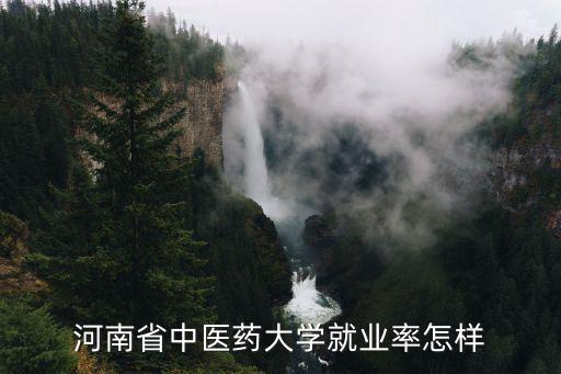 河南省中醫陳安民怎么樣,中醫兒科怎么樣