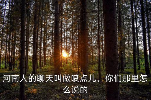 河南人的聊天叫做噴點(diǎn)兒，你們那里怎么說(shuō)的