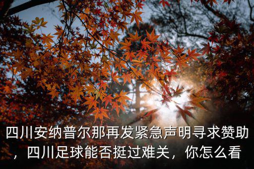 四川安納普爾那再發緊急聲明尋求贊助，四川足球能否挺過難關，你怎么看