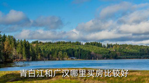德陽廣漢小學和初中哪里好,青白江和廣漢哪里買房比較好