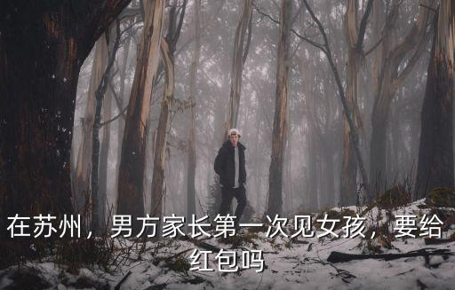 江蘇第一次見家長包多少紅包,男方家長第一次見女孩