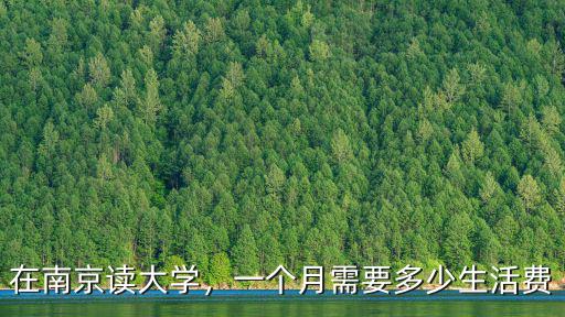 一個月多少錢能在南京生活,多少工資可以再南京生活