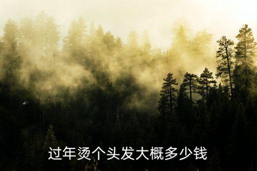 過(guò)年?duì)C個(gè)頭發(fā)大概多少錢(qián)
