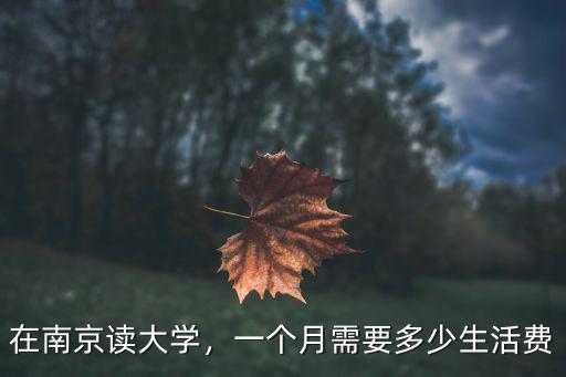 在南京讀大學，一個月需要多少生活費
