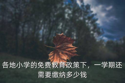 各地小學的免費教育政策下，一學期還需要繳納多少錢