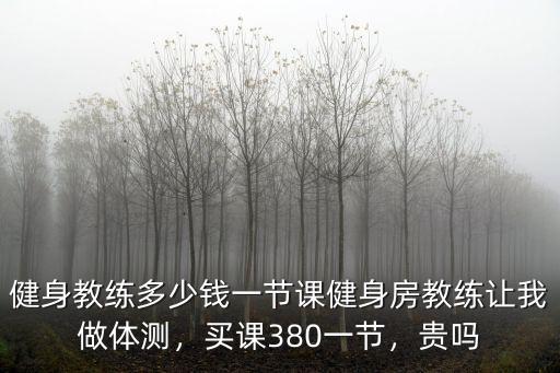 健身教練多少錢一節課健身房教練讓我做體測，買課380一節，貴嗎