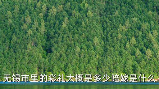 無錫市里的彩禮大概是多少陪嫁是什么
