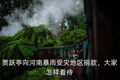 賈躍亭向河南暴雨受災地區捐款，大家怎樣看待