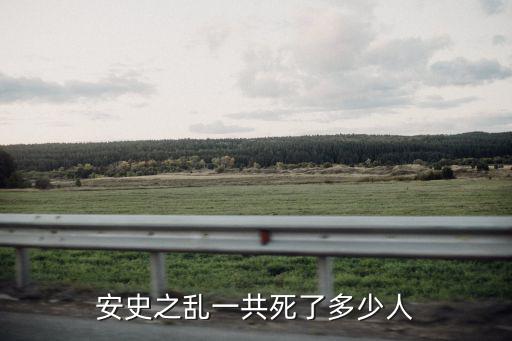 南京河西死了多少人,秦魏河西爭奪戰(zhàn)