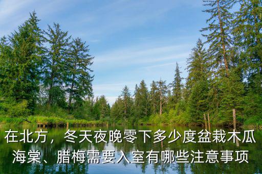 南充冬天哪里有臘梅,臘梅需要入室