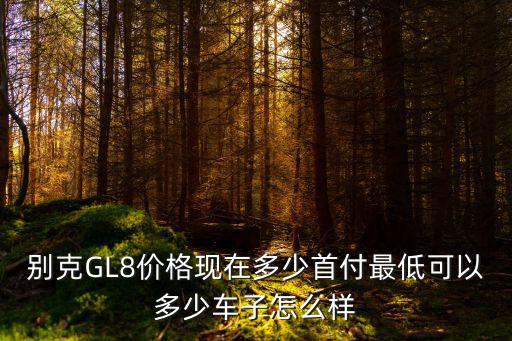 無錫別克GL8優(yōu)惠多少,別克GL8價格現(xiàn)在多少
