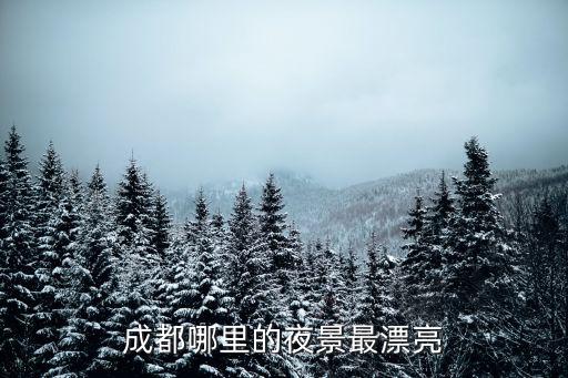 成都哪里的夜生活最好,成都哪里的夜景最漂亮