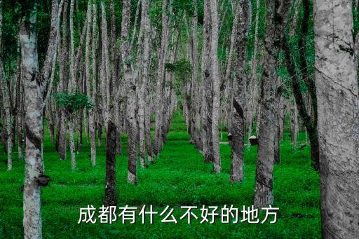 成都哪里有紅火的地方,成都有什么不好的地方