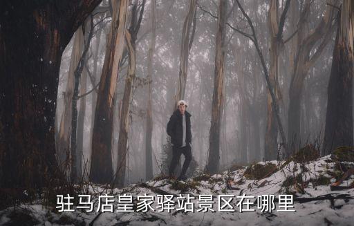 駐馬店兩個億的項目在哪里,駐馬店皇家驛站景區(qū)在哪里