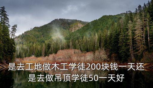 宿遷建筑木工突擊隊多少錢一天,瓦工一天多少錢