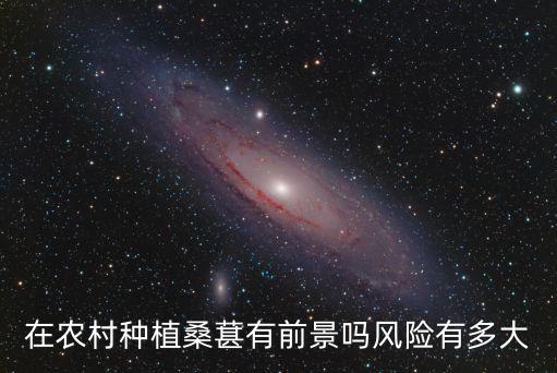 在農村種植桑葚有前景嗎風險有多大