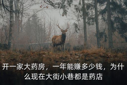 開一家大藥房，一年能賺多少錢，為什么現在大街小巷都是藥店
