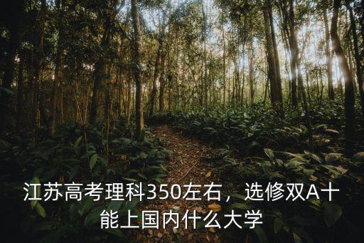 江蘇高考理科350左右，選修雙A十能上國內什么大學