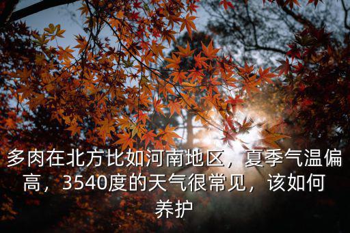 河南多肉效益怎么樣,多肉大棚的發(fā)展前景怎么樣